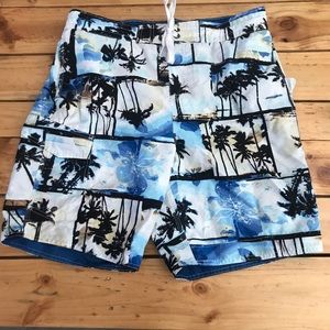 Lanesboro Swim Trunk